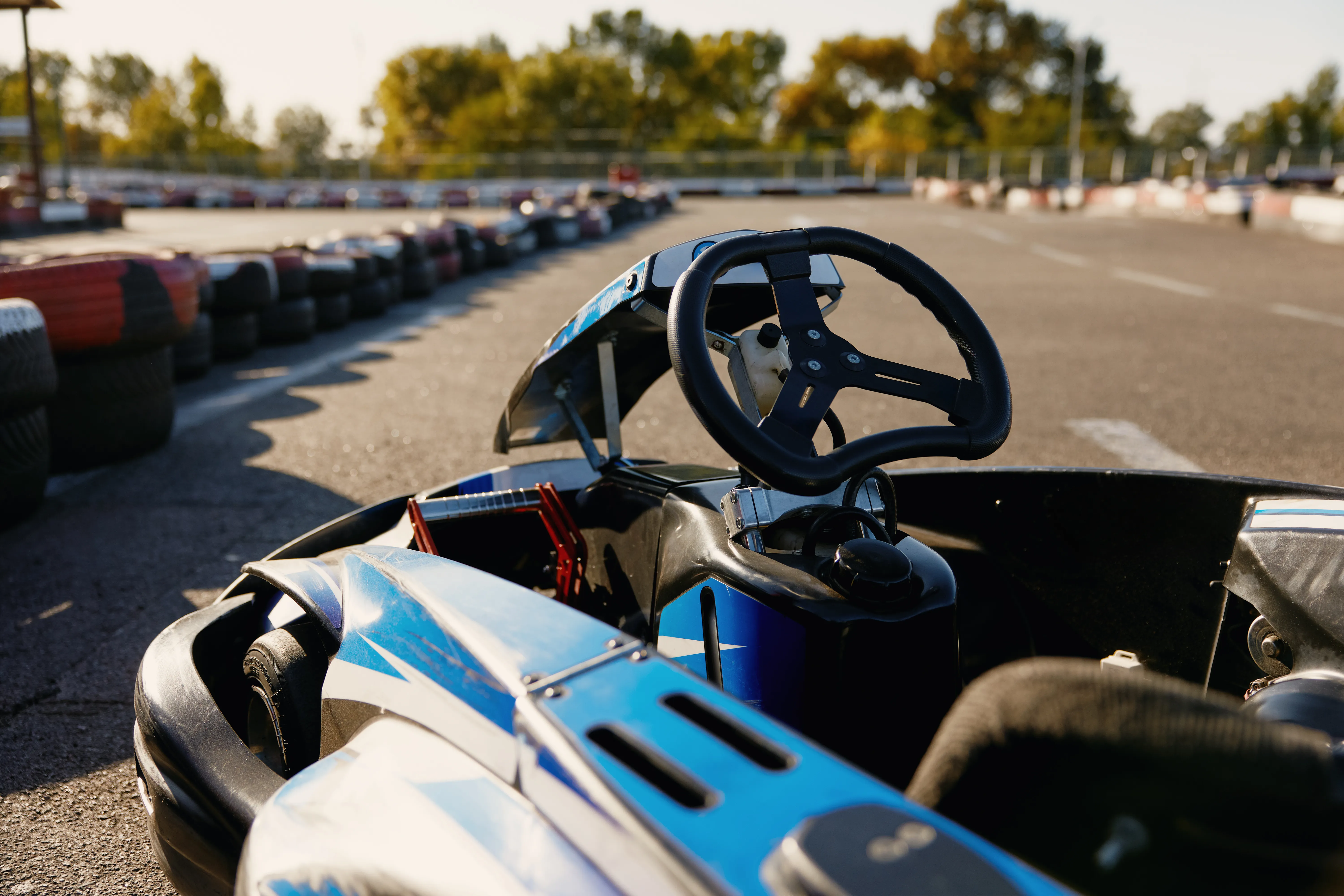 Volante de kart em primeiro plano na pista